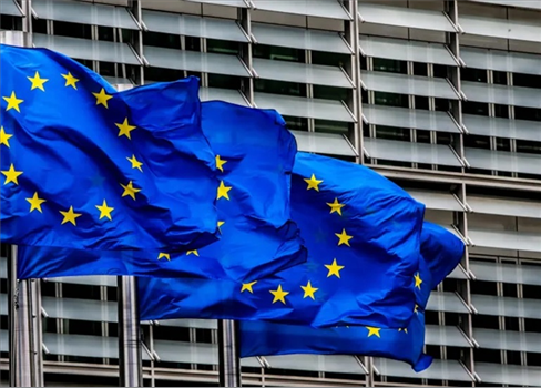 تجمع دبلوماسي أوروبي يطالب بمحاسبة الاحتلال على جرائمه في غزة