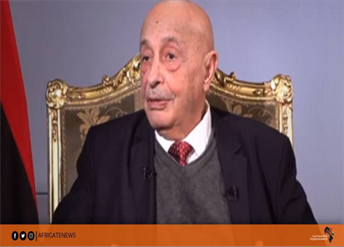 البرلمان الليبي يختار ممثليه في لجنة 